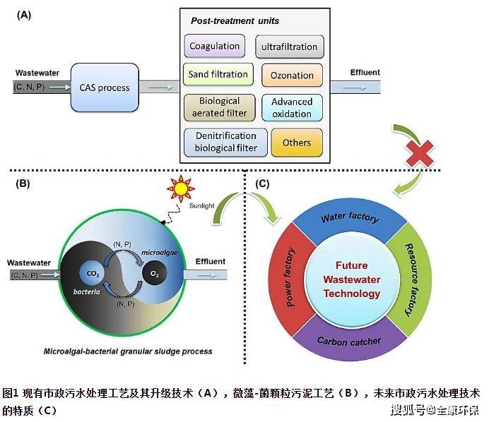 市政污水处理技术标准及其应用的关键作用分析