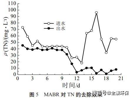 MABR污水处理技术的起源与应用及其深远影响